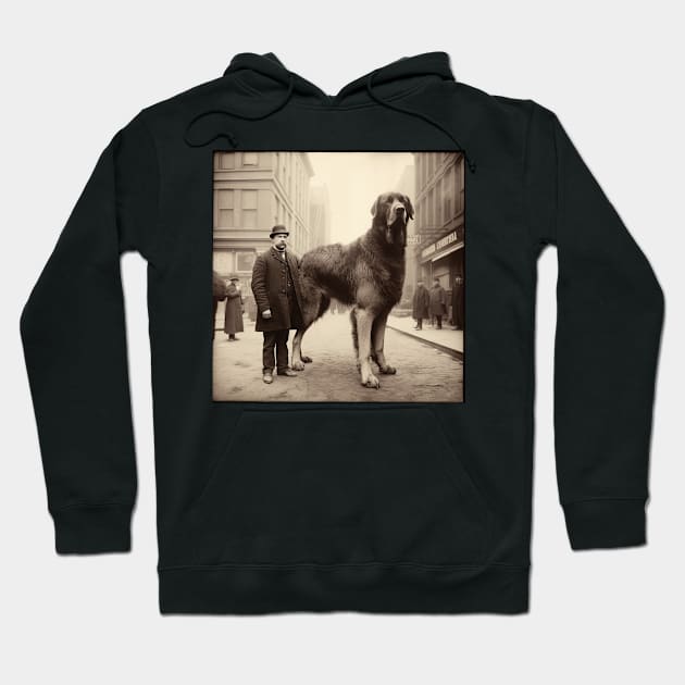 Big Dog from 1900 Hoodie by AviToys